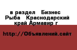  в раздел : Бизнес » Рыба . Краснодарский край,Армавир г.